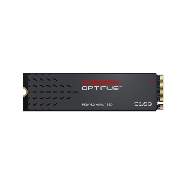 [SanDisk] Optimus 5100 M.2 NVMe 2280 [500GB]