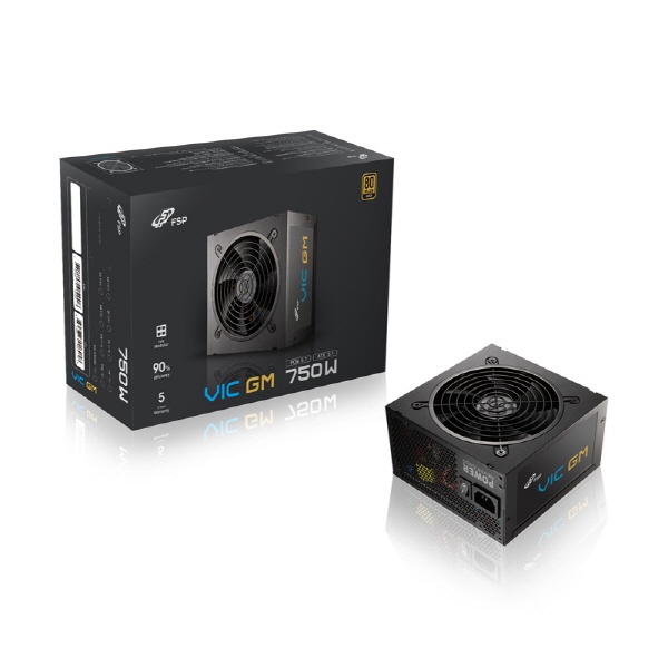 [FSP] VIC GM 80PLUS GOLD 풀모듈러 ATX 3.1 [750W] [블랙]